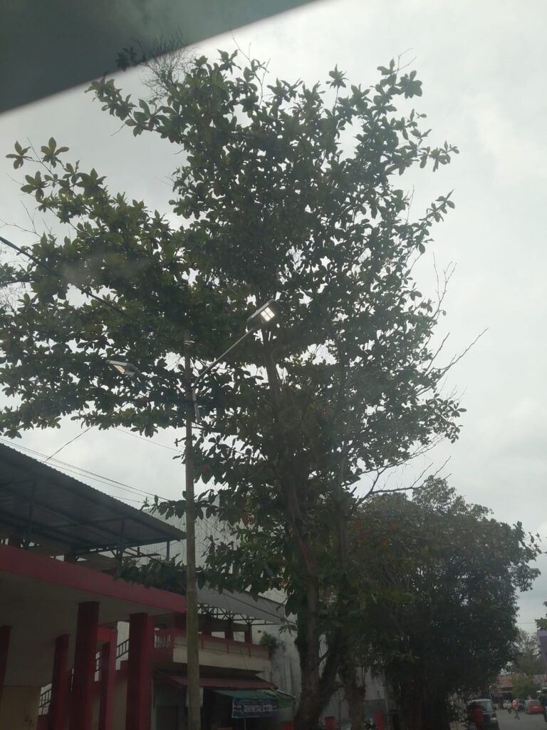 WhatsApp Image 2026-01-28 at 13.28.20