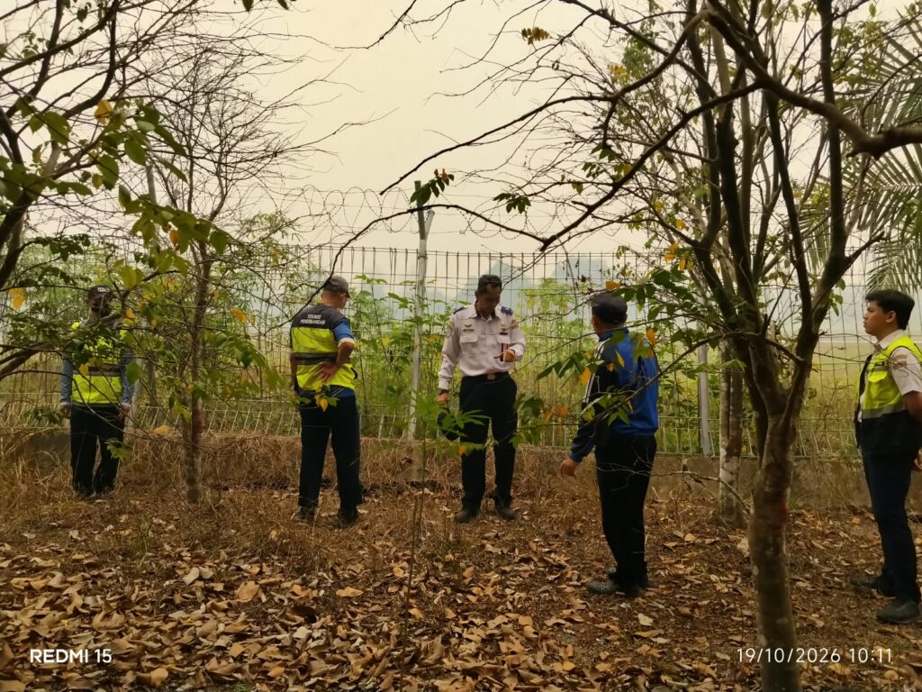 WhatsApp Image 2026-10-19 at 15.45.21